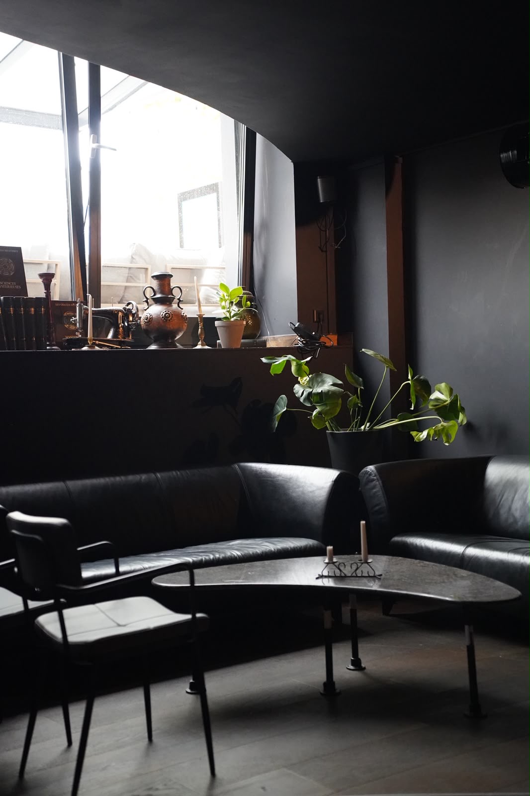Lounge mit schwarzen Ledersofas, niedrigem Tisch und Pflanzen am Fenster